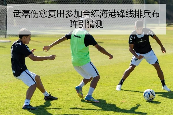 武磊伤愈复出参加合练海港锋线排兵布阵引猜测（BETWAY）